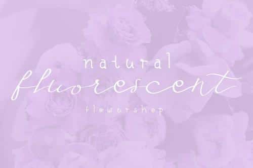 Fly Feather Font 3