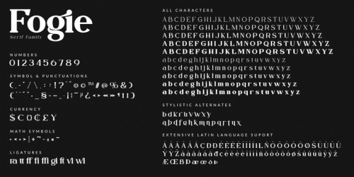 Fogie Modern Serif Font 11