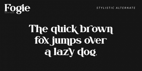 Fogie Modern Serif Font 14