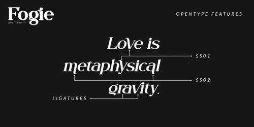 Fogie Modern Serif Font 15