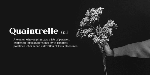 Fogie Modern Serif Font 9