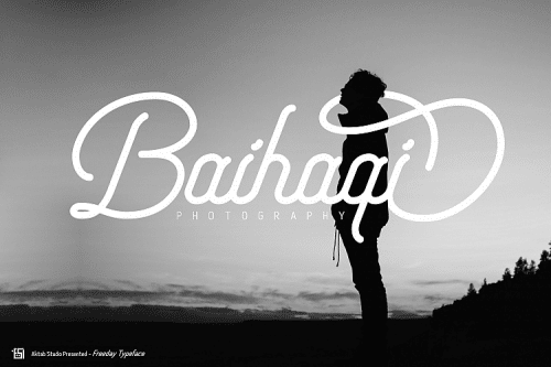 Freeday Font Family Free  3