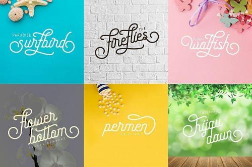 Freeday Font Family Free  5