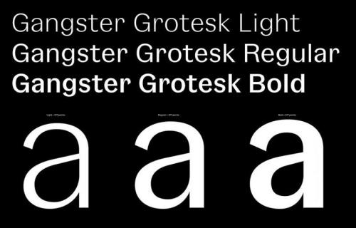 Gangster Grotesk Font Family  1