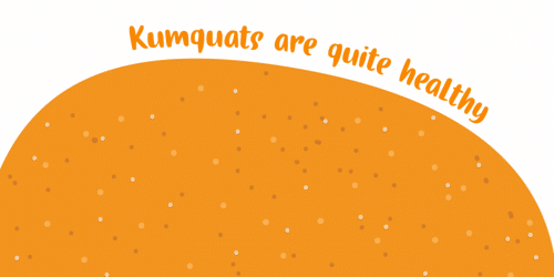 Gingerline Font 4