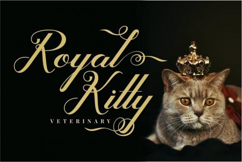 Glamoury Script Font 8