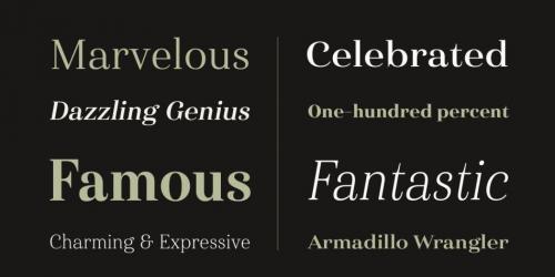 Haboro Font Family  2