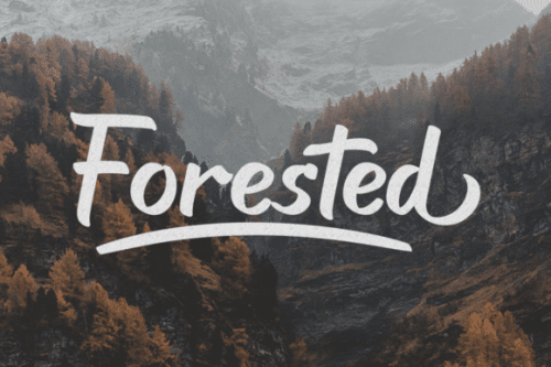 Haigl Rapture Bold Script Font 2