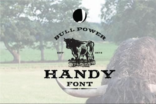 Handy Font 2