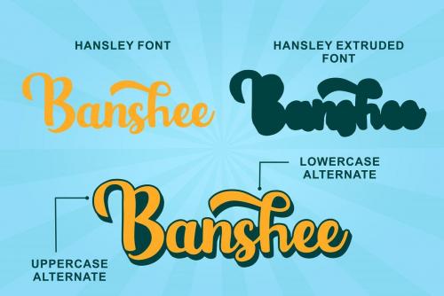 Hansley Script Font 3