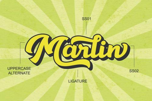 Hansley Script Font 4