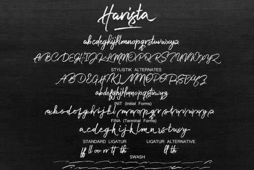 Harista Brush Font 11