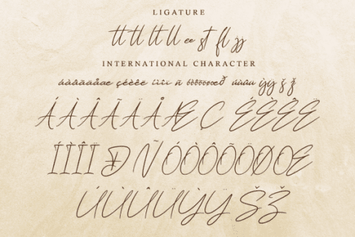 Hathem Bosteem Signature Font 11