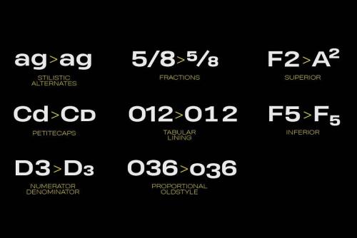 Heading Pro Wide Font Family  10