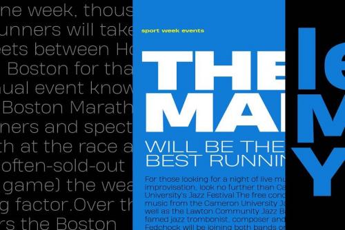 Heading Pro Wide Font Family  6