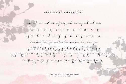 Hello Olivia Modern Calligraphy Font  7