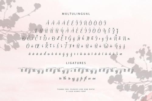 Hello Olivia Modern Calligraphy Font  8