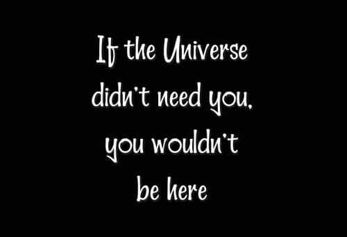 Hellobello! Font Family 8