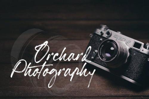Hillstone Brush Font 2