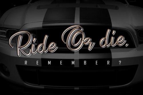 Hobenshaw Script Font 1