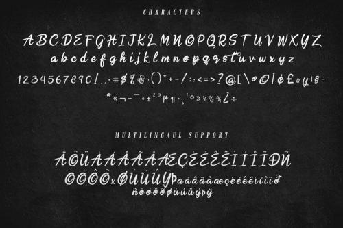 Hobenshaw Script Font 6