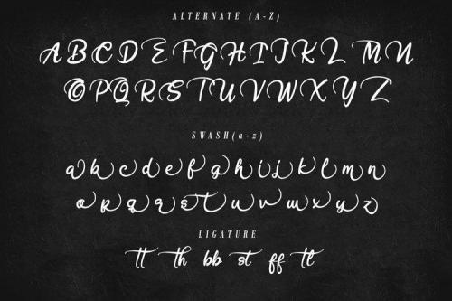 Hobenshaw Script Font 7