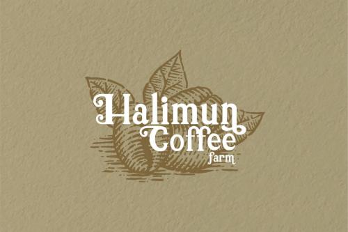 Holiday Serif Font 2