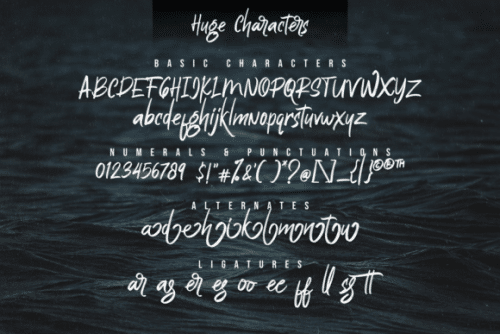 Huge Brush Script Font 8