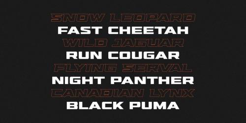 Hunterra Display Font 8