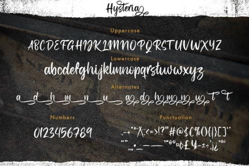 Hysteria Brush Script Font 13