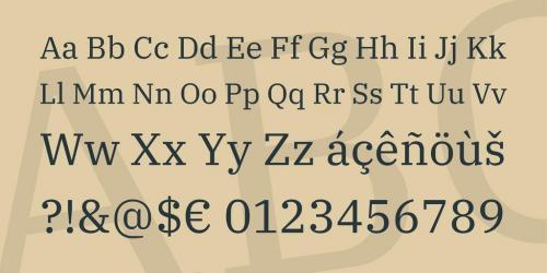 IBM Plex Serif Font Family 3