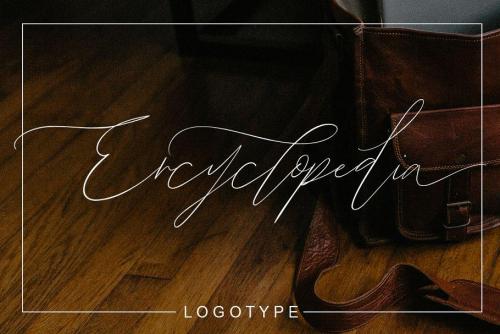 John Davidson Script Font Free Download  5