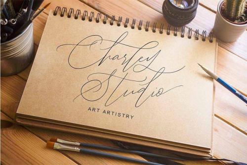 John Davidson Script Font Free Download  6