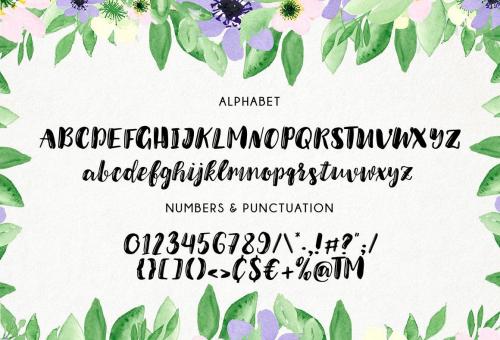Julian Script Typeface 6
