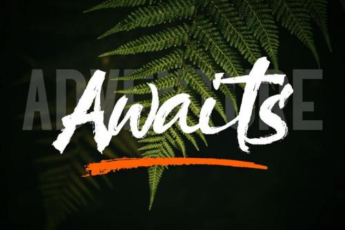 Kaishou! Brush Script Font 5