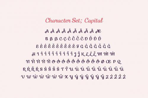 Kecap Script Font 6