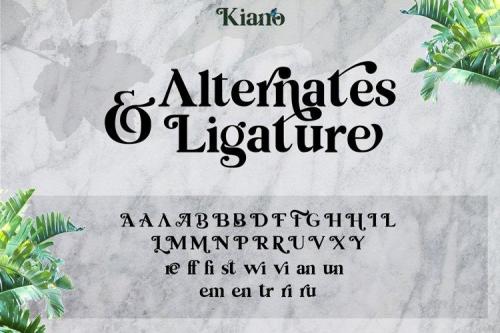 Kiano Serif Font 11