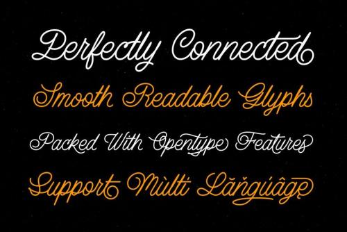 Lazy Ride Script Font Free  2