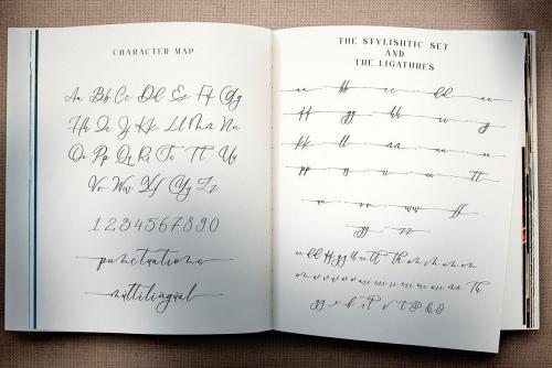 Le Jour Font Duo 8