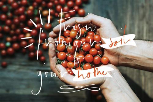 Lenka Morris Font 12