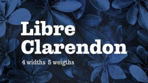 Libre Clarendon Slab Serif Font Family