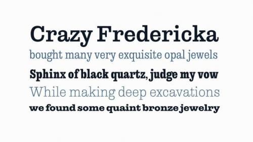 Libre Clarendon Slab Serif Font Family 1