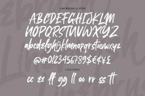 Linebrush Rough Brush Script Font 6