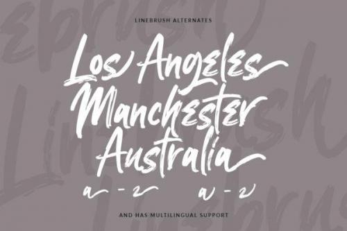 Linebrush Rough Brush Script Font 7