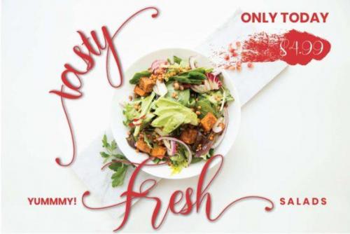 Loffers Calligraphy Script Font 5