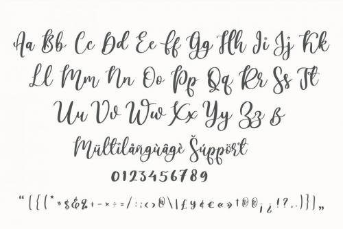 Lovely Ampersand Calligraphy Font  10