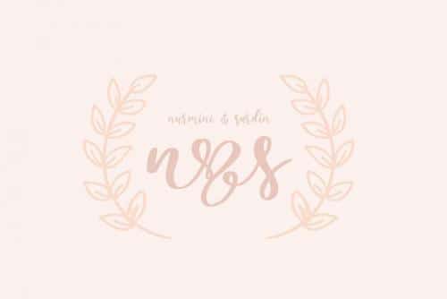 Lovely Ampersand Calligraphy Font  84