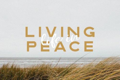 Lovin Summer Script Font 3