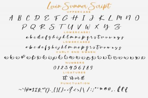 Lovin Summer Script Font 9