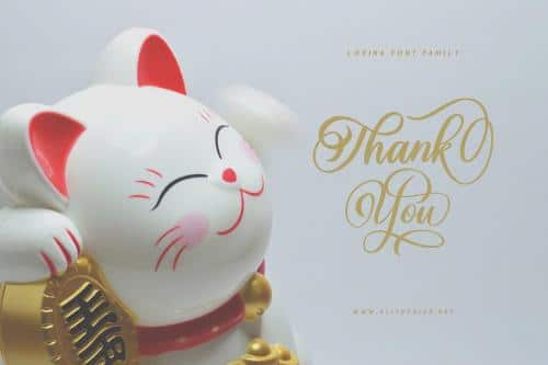 Lovina Calligraphy Font 11
